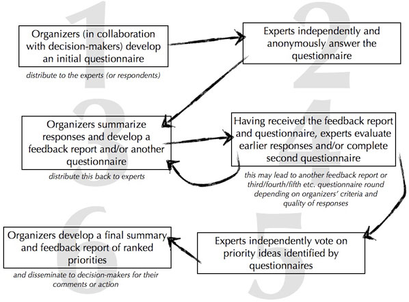 Figure 4: The Delphi Technique